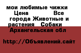 мои любимые чижки › Цена ­ 15 000 - Все города Животные и растения » Собаки   . Архангельская обл.